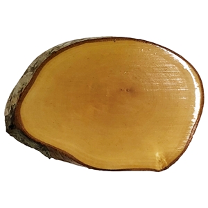 R01 Blank Rustic Wood Slice Small