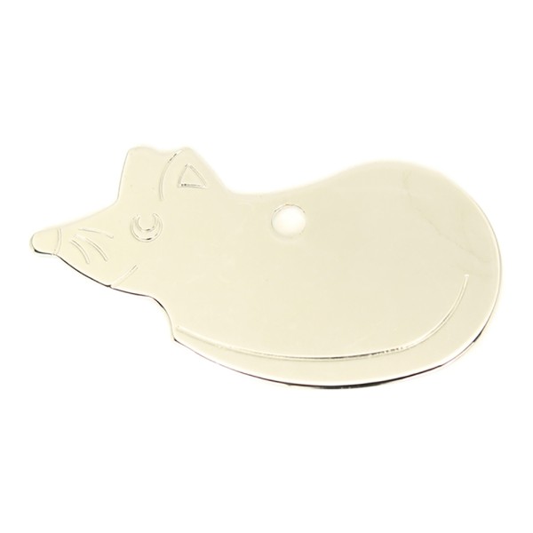 Mouse Pet Disc Chrome 45mm x 25mm