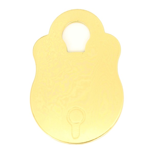Padlock Pet Disc Brass 25mm x 38mm