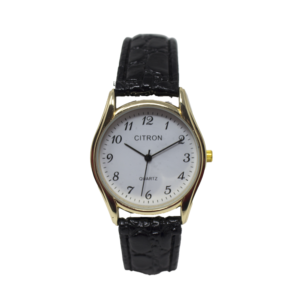 Citron Watch. Gents Quartz GAQ30A