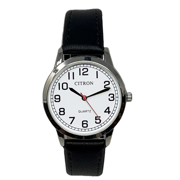 Citron Watch. Gents Quartz GAQ34A